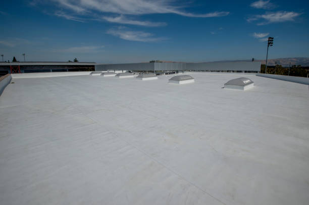 Best Sheet Metal Roofing  in Graceville, FL