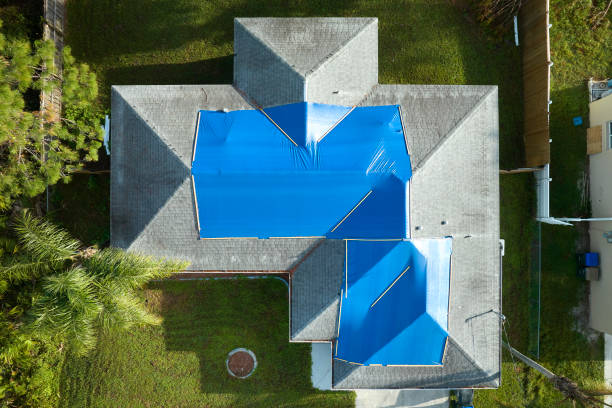 Best Roof Repair  in Graceville, FL