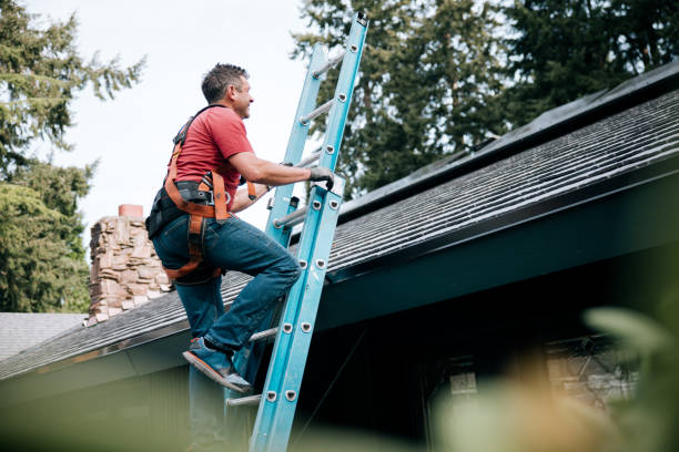 Best Solar Panel Roofing Installation  in Graceville, FL